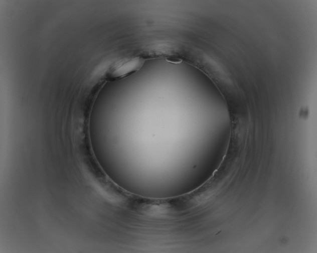 X0000093520548200710121547