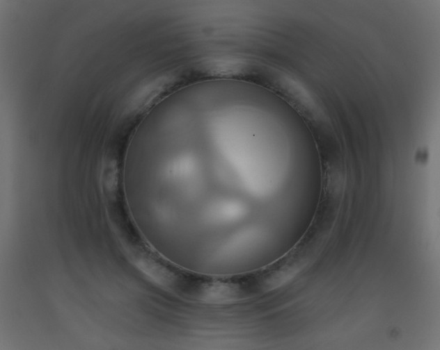 X0000093520549200710121547
