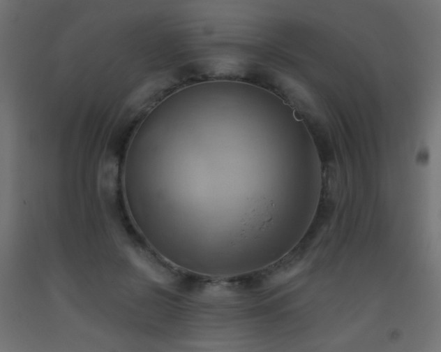 X0000093520550200710121547