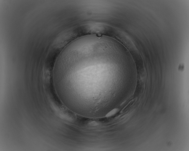X0000093520551200710121547