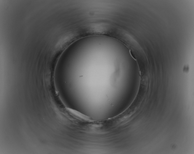 X0000093520552200710121547