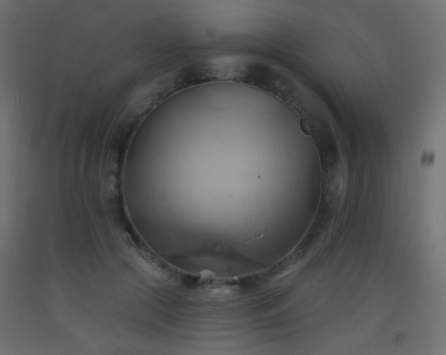 X0000093520553200710121547