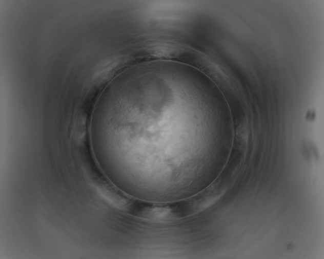 X0000093520554200710121547