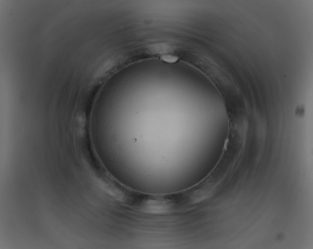 X0000093520556200710121547
