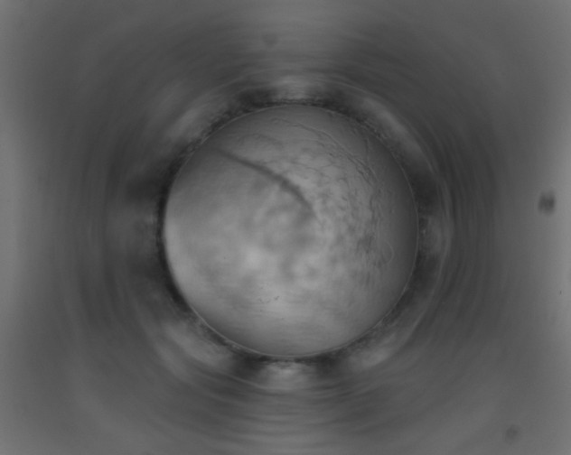 X0000093520557200710121547