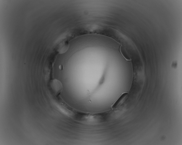 X0000093520558200710121547
