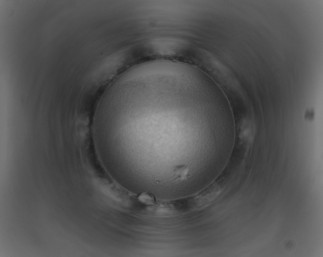X0000093520559200710121547