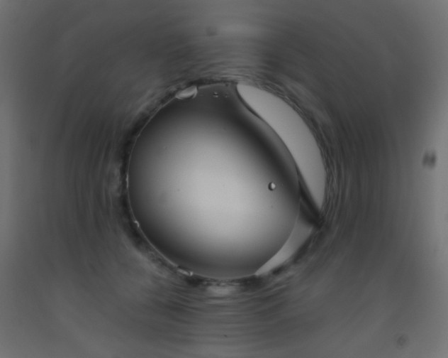 X0000093520560200710121547