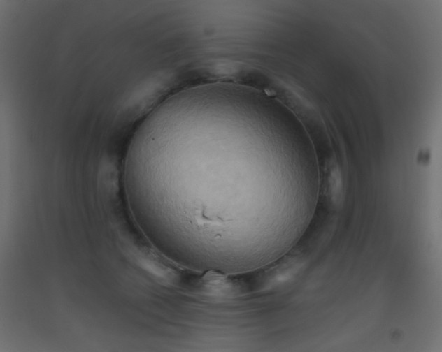 X0000093520562200710121547