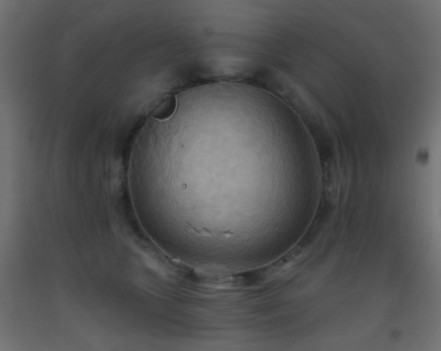 X0000093520563200710121547