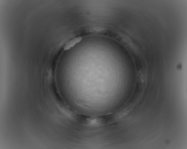 X0000093520564200710121547