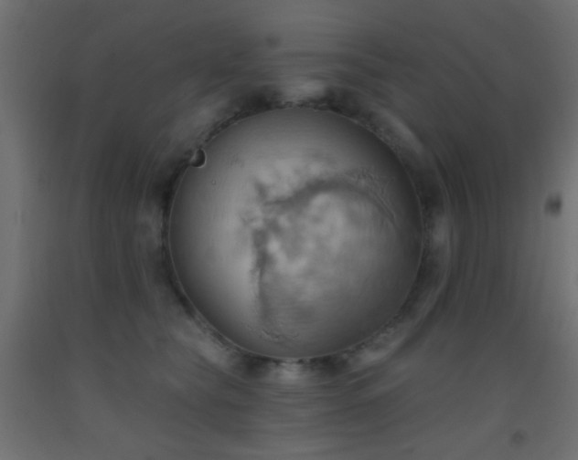 X0000093520565200710121547