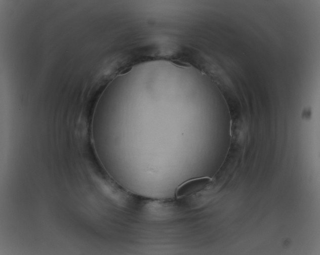 X0000093520568200710121547