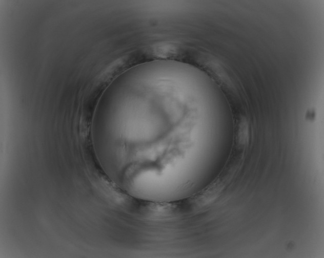 X0000093520569200710121547
