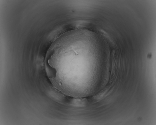 X0000093520571200710121547