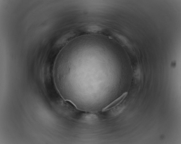 X0000093520572200710121547