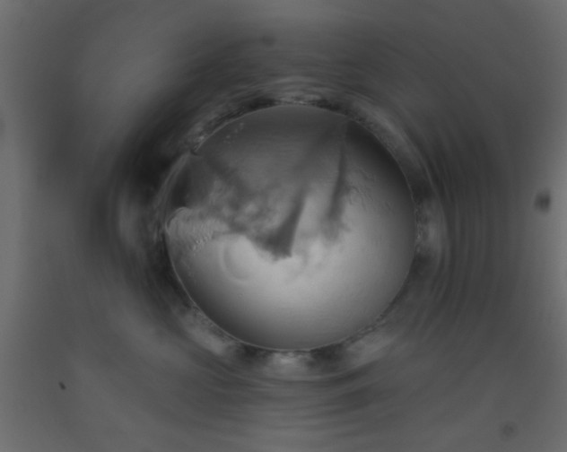 X0000093520573200710121547