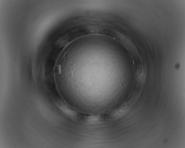 X0000093520574200710121547