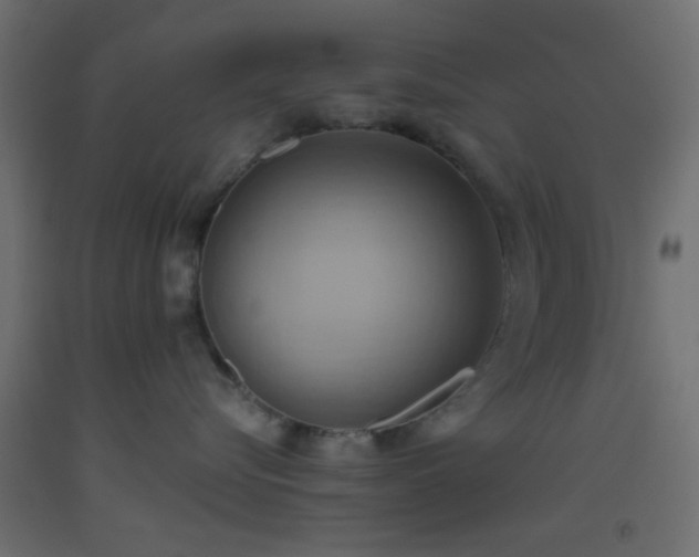X0000093520576200710121547