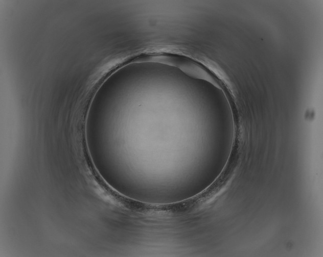 X0000093520577200710121546