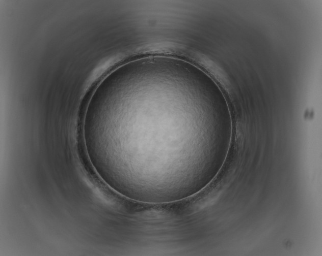 X0000093520578200710121546