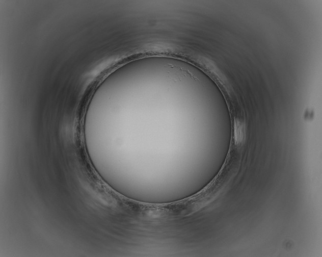 X0000093520579200710121546