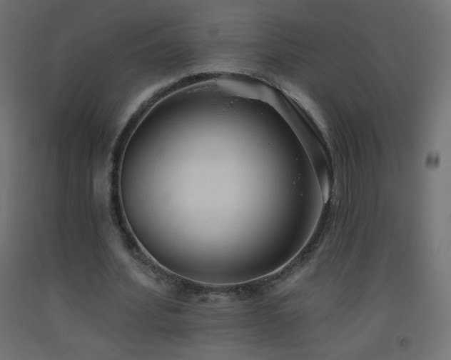 X0000093520580200710121546
