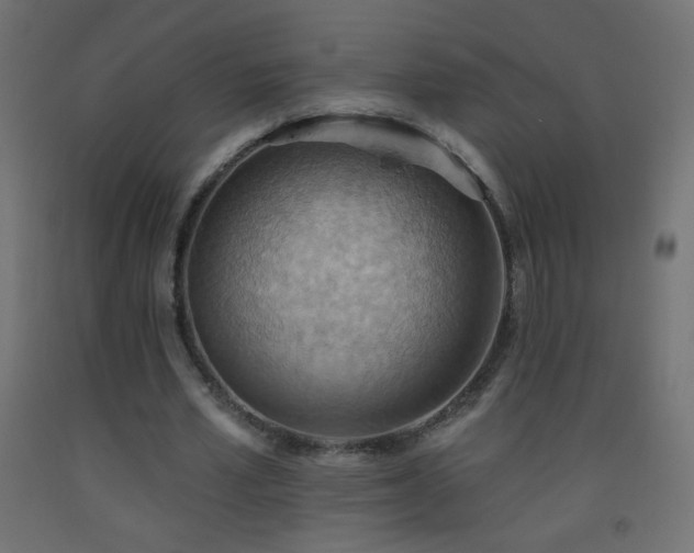 X0000093520581200710121546