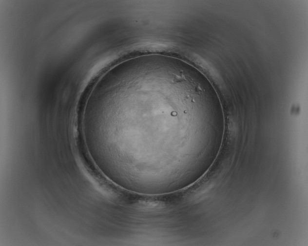 X0000093520582200710121546