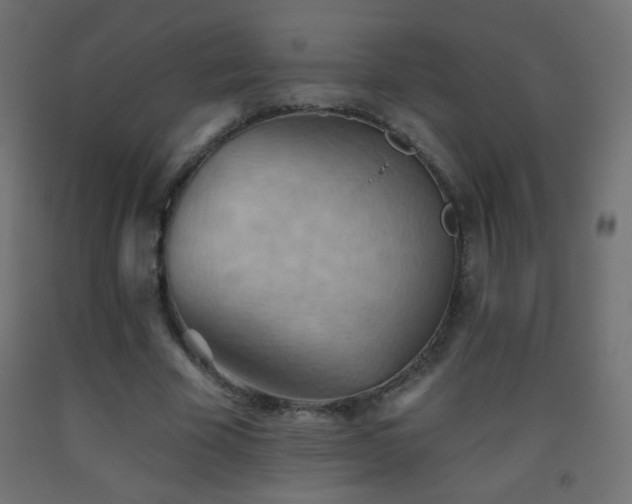 X0000093520585200710121546