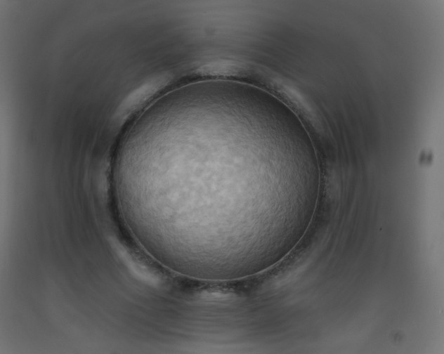 X0000093520586200710121546