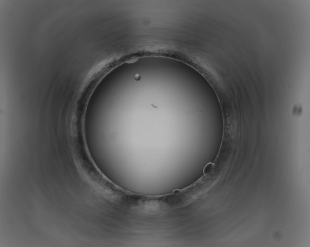 X0000093520587200710121546