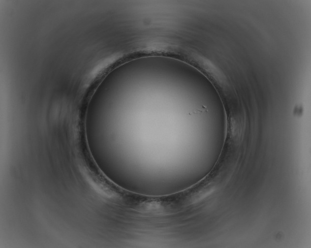 X0000093520588200710121546