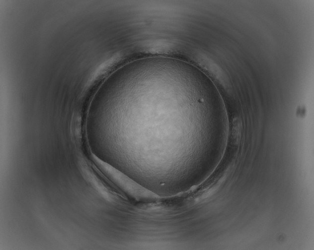 X0000093520589200710121546