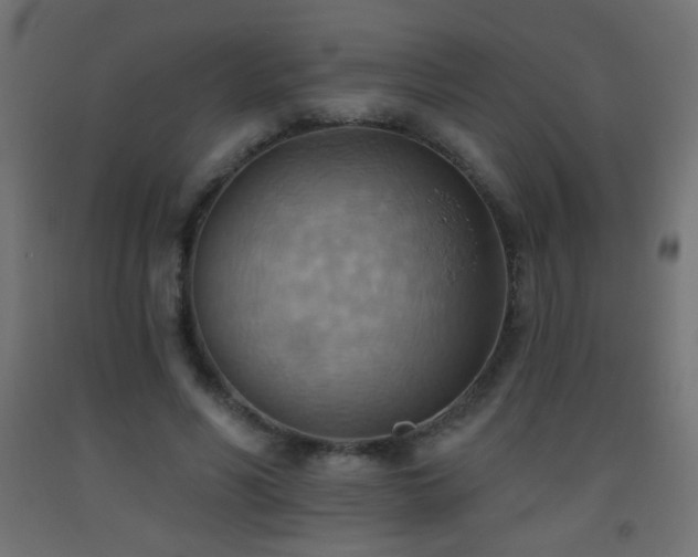 X0000093520590200710121546