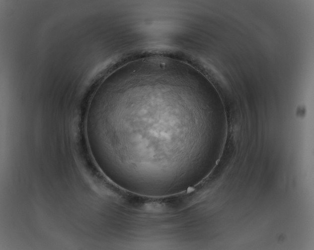 X0000093520591200710121546