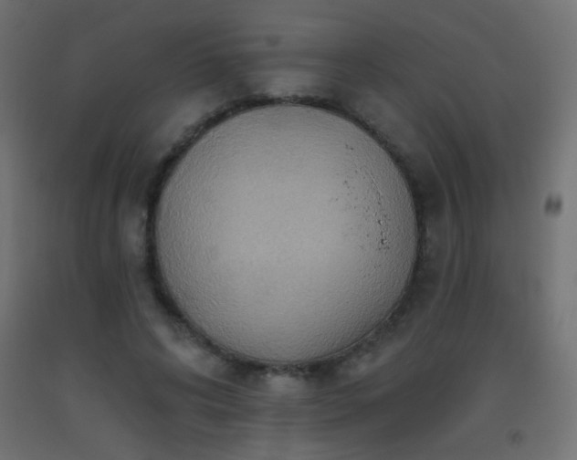 X0000093520592200710121546