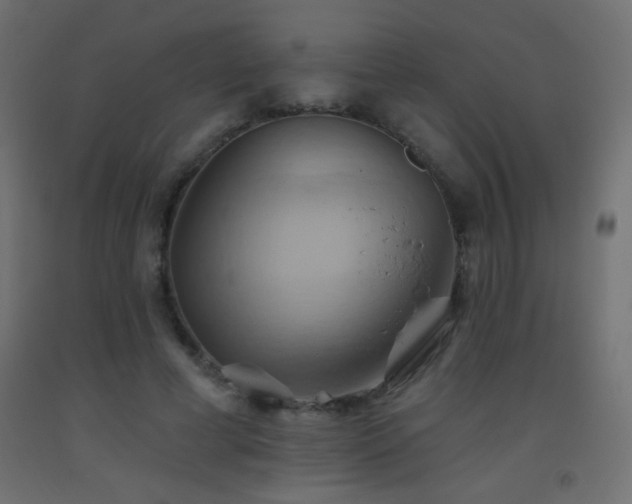 X0000093520593200710121546