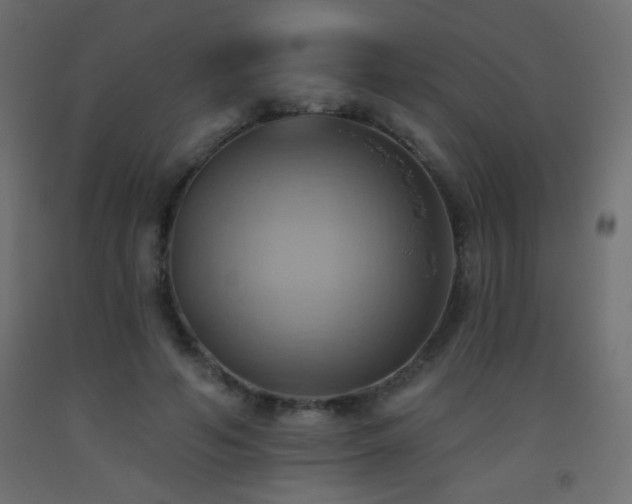 X0000093520594200710121546