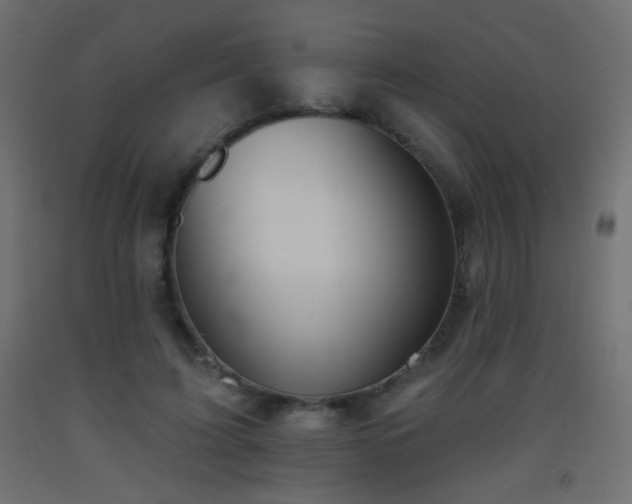 X0000093520595200710121546