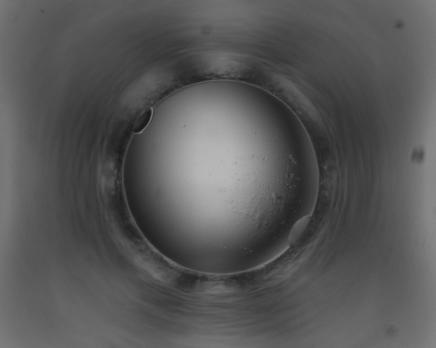 X0000093520597200710121546