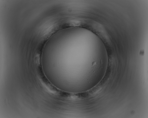 X0000093520598200710121546