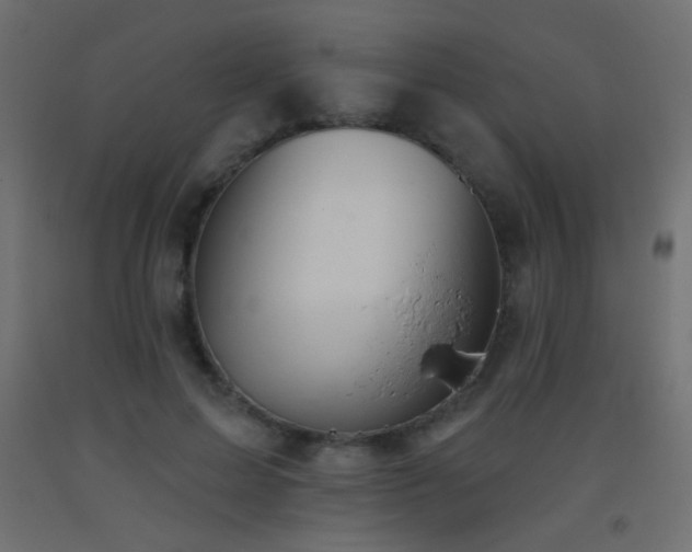 X0000093520599200710121546