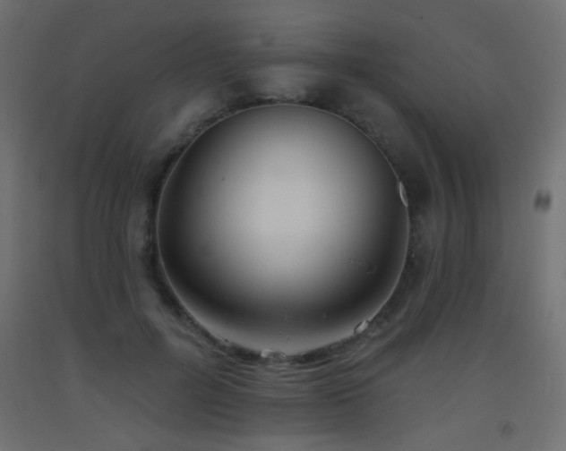 X0000093520600200710121546