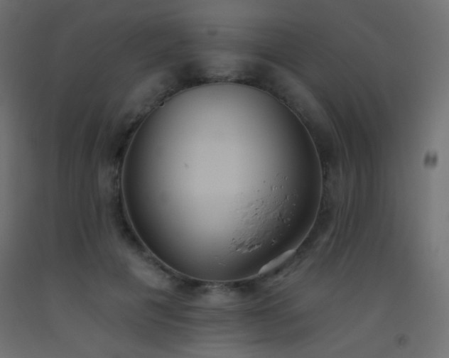 X0000093520601200710121546