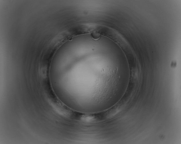 X0000093520602200710121546