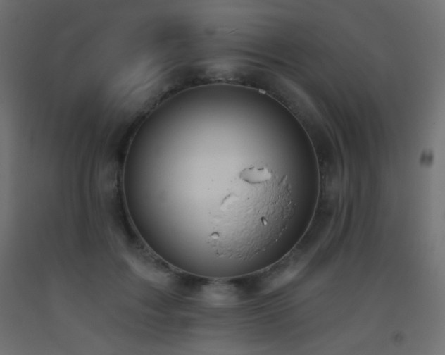 X0000093520603200710121546