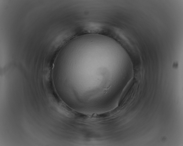X0000093520604200710121546