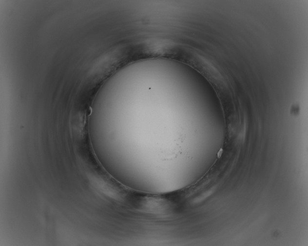 X0000093520605200710121546