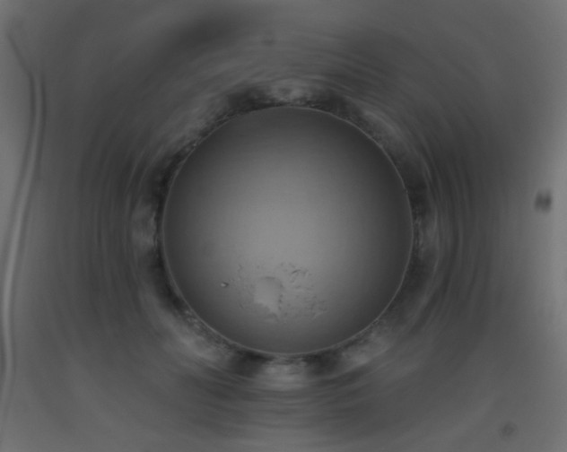 X0000093520606200710121546